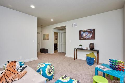 9191 E 59th North Pl, Denver, CO 80238 photo 30