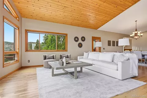 Living - 198 Park Ave, Bailey, CO 80421 photo 3 of 4