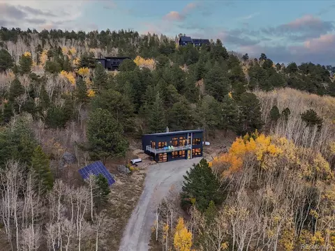 1044 Alps Hill Rd, Central City, CO 80427
