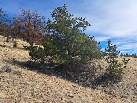 369 Summit Rd, Hartsel, CO 80449 photo 14