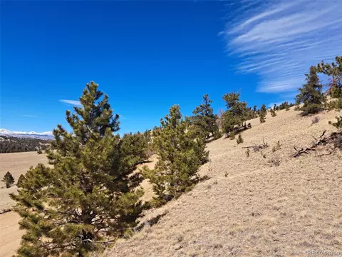 369 Summit Rd, Hartsel, CO 80449 photo 5