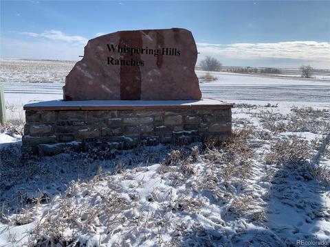 51252 E Maplewood Pl, Bennett, CO 80102 photo 10