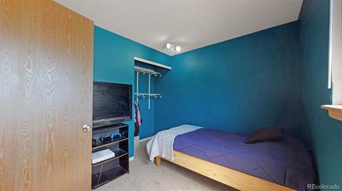 12461 Eudora St, Thornton, CO 80241 photo 22