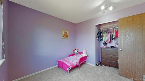 12461 Eudora St, Thornton, CO 80241 photo 26