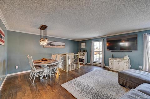 4814 E 110th Pl, Thornton, CO 80233 photo 5