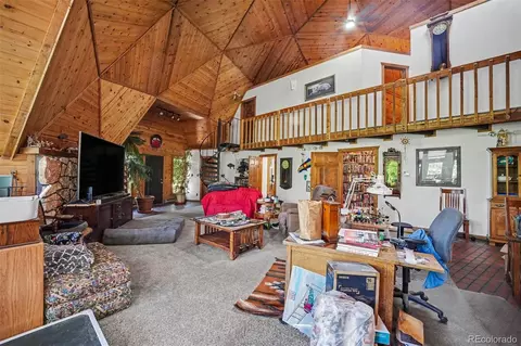 Living - 200 Desparado Rd, Bailey, CO 80421 photo 4 of 4