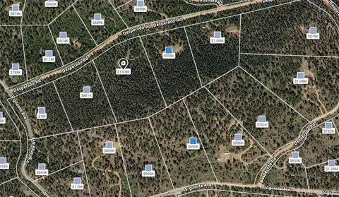 View/Area - 200 Desparado Rd, Bailey, CO 80421 photo 1 of 1