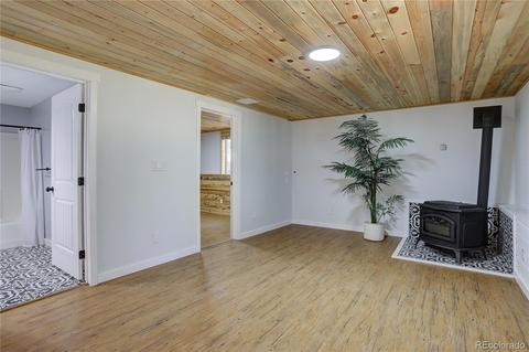 67 S Ridge Rd, Bailey, CO 80421 photo 17