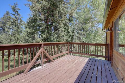 67 S Ridge Rd, Bailey, CO 80421 photo 35