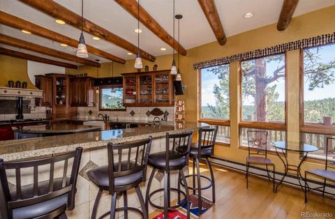 35160 Lower Aspen Ln, Pine, CO 80470 photo 13