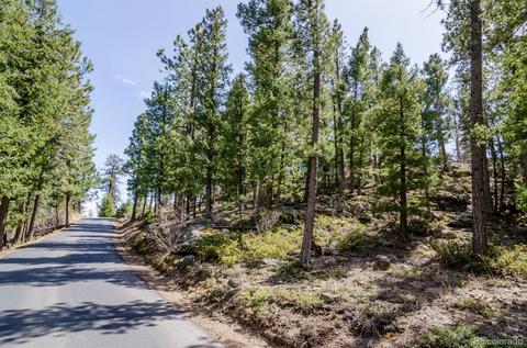 35160 Lower Aspen Ln, Pine, CO 80470 photo 33