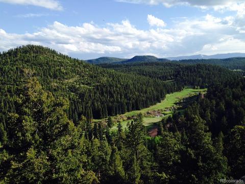 35160 Lower Aspen Ln, Pine, CO 80470 photo 3