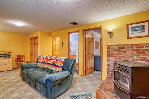 26196 Rea Ave, Conifer, CO 80433 photo 23