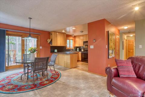 26196 Rea Ave, Conifer, CO 80433 photo 10