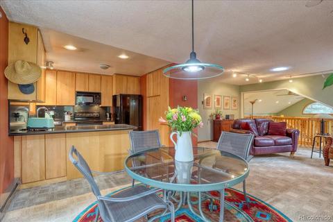 26196 Rea Ave, Conifer, CO 80433 photo 11