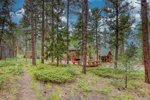 26196 Rea Ave, Conifer, CO 80433 photo 2