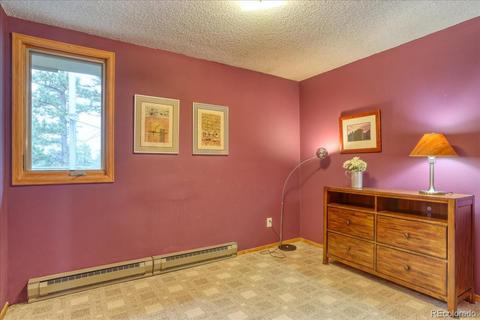 26196 Rea Ave, Conifer, CO 80433 photo 18
