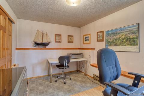 26196 Rea Ave, Conifer, CO 80433 photo 24