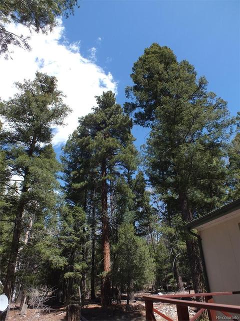 202 Big Bear Rd, Mosca, CO 81146 photo 16