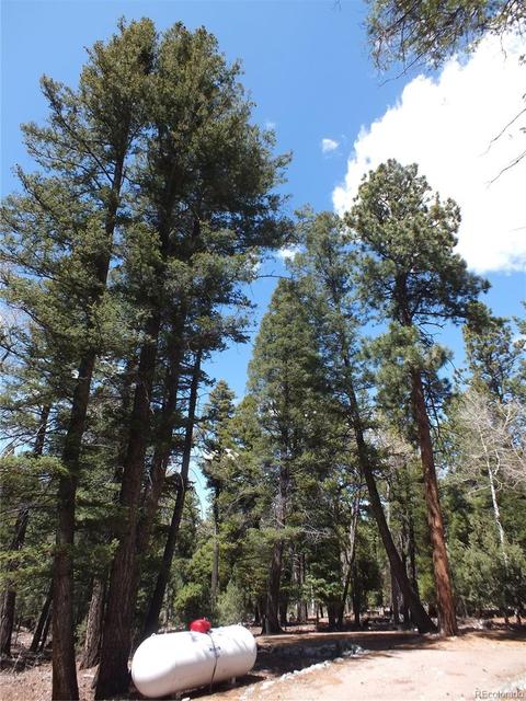 202 Big Bear Rd, Mosca, CO 81146 photo 15
