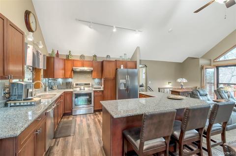 195 Bull Dogger Rd, Bailey, CO 80421 photo 11