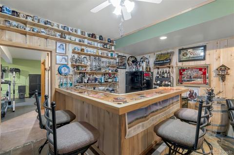 195 Bull Dogger Rd, Bailey, CO 80421 photo 27