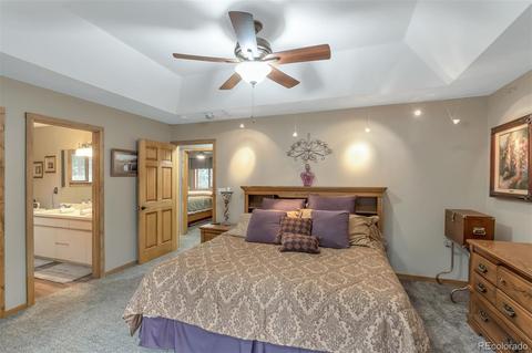 195 Bull Dogger Rd, Bailey, CO 80421 photo 13