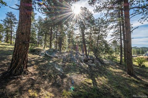 195 Bull Dogger Rd, Bailey, CO 80421 photo 34
