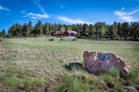 195 Bull Dogger Rd, Bailey, CO 80421 photo 2