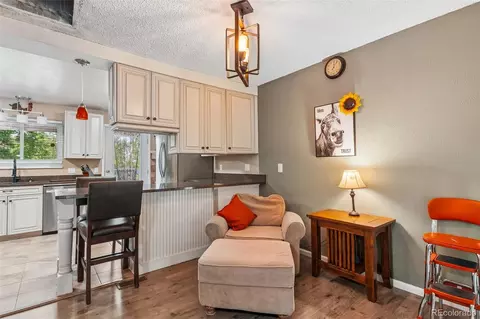 11070 Eudora Cir, Thornton, CO 80233 photo 13