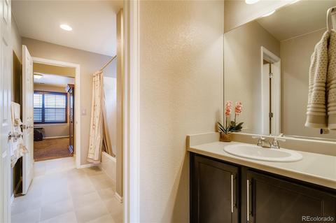 2243 Stonefish Dr, Windsor, CO 80550 photo 28
