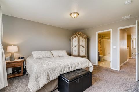 2243 Stonefish Dr, Windsor, CO 80550 photo 33