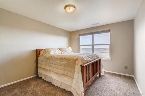 2243 Stonefish Dr, Windsor, CO 80550 photo 27