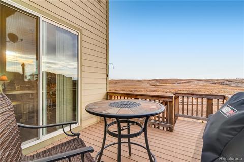 2243 Stonefish Dr, Windsor, CO 80550 photo 36