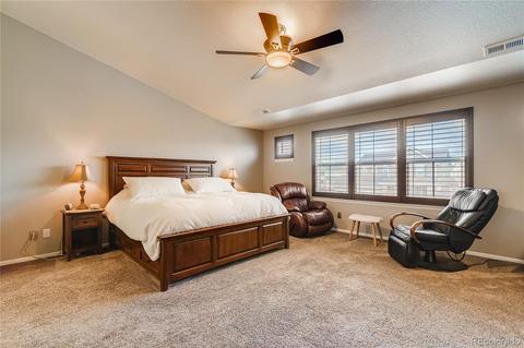 2243 Stonefish Dr, Windsor, CO 80550 photo 22