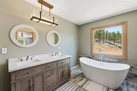 Bath - 16687 Ouray Rd W, Pine, CO 80470 photo 1 of 3