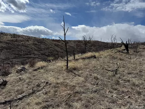 H Path 34th Trail, Cotopaxi, CO 81223 photo 16