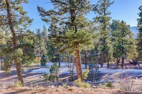 31037 Witteman Rd, Conifer, CO 80433 photo 44