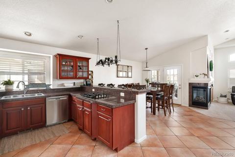 9028 Meadow Hill Cir, Lone Tree, CO 80124 photo 18