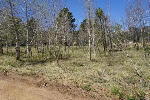 32 Smokey Rock Rd, Bailey, CO 80421 photo 28