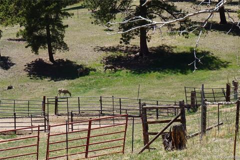 32 Smokey Rock Rd, Bailey, CO 80421 photo 4