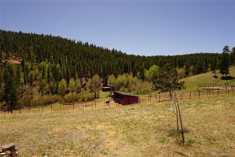 32 Smokey Rock Rd, Bailey, CO 80421 photo 2