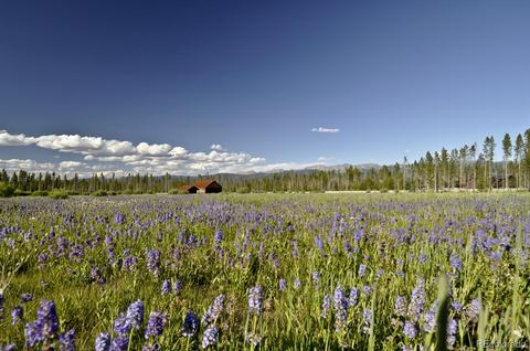 1004 Moose Run Ln, Fraser, CO 80442 photo 4