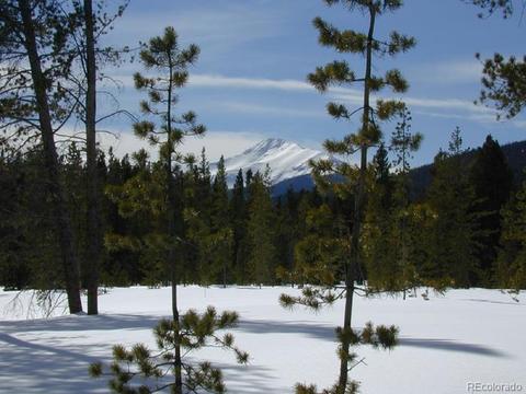 1004 Moose Run Ln, Fraser, CO 80442 photo 1