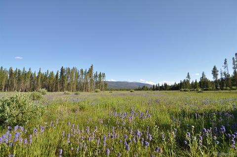 1004 Moose Run Ln, Fraser, CO 80442 photo 3