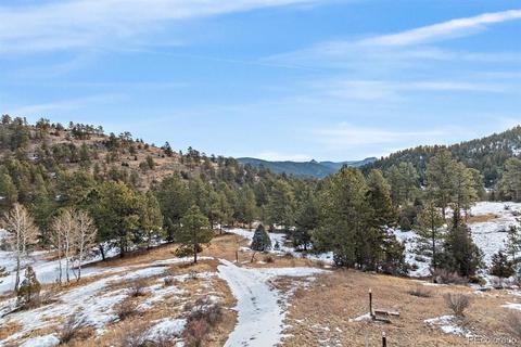 14262 Jubilee Trl, Pine, CO 80470 photo 33
