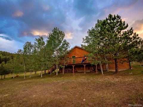 256 S Pine Dr, Bailey, CO 80421 photo 5