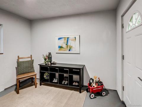 256 S Pine Dr, Bailey, CO 80421 photo 29