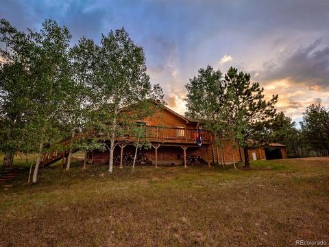 256 S Pine Dr, Bailey, CO 80421 photo 3