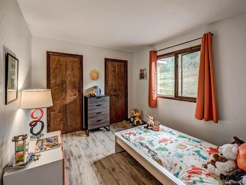 256 S Pine Dr, Bailey, CO 80421 photo 27